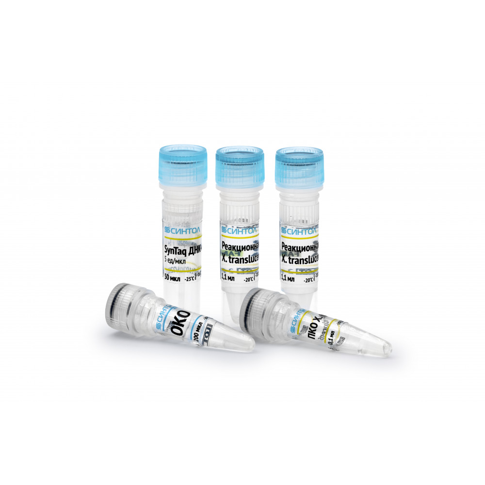 Выявление ДНК Xanthomonas translucens pv. translucens методом полимеразной цепной реакции в реальном времени с помощью набора реагентов «Xanthomonas translucens pv. translucens-РВ»