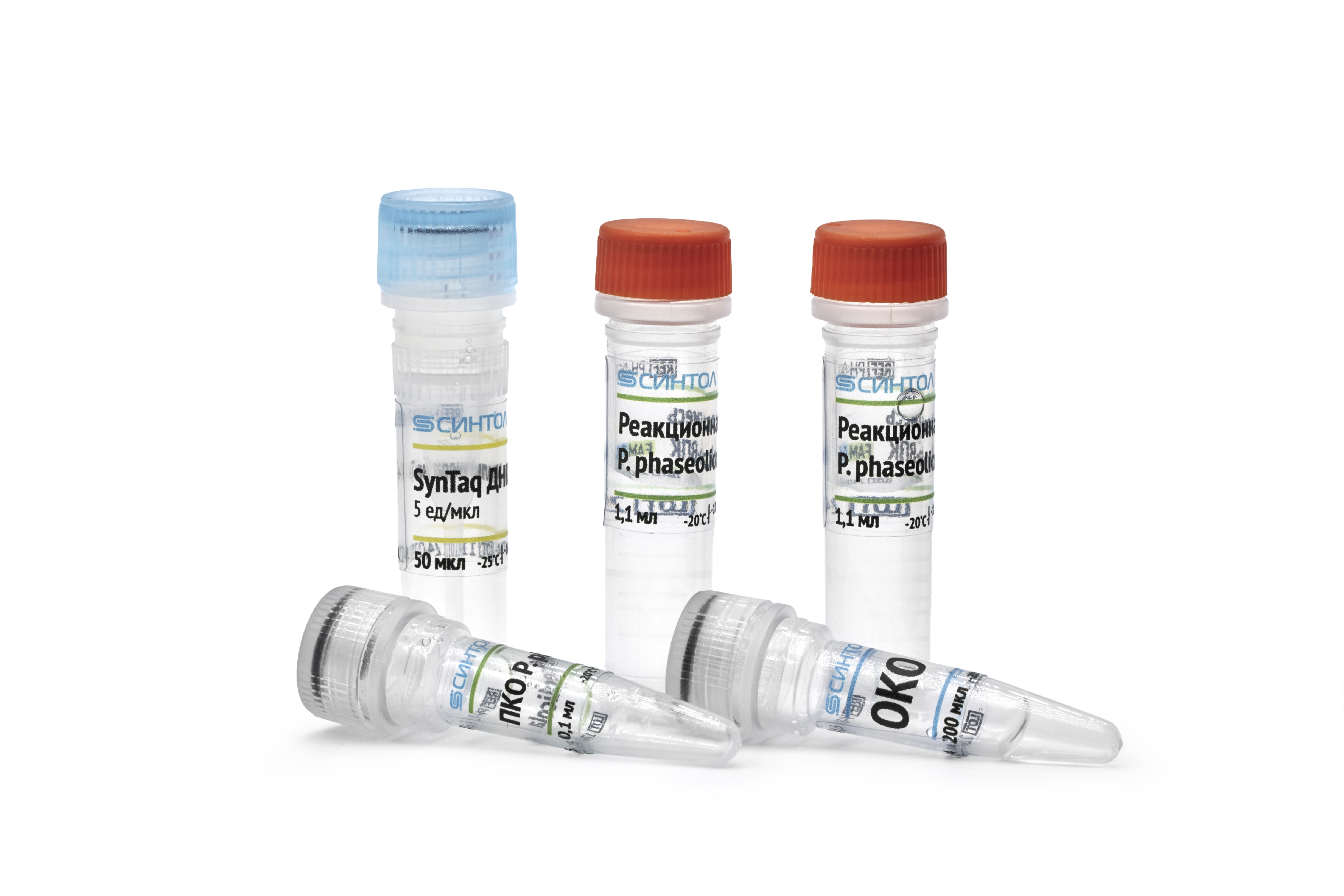Обнаружение ДНК возбудителя угловатой пятнистости фасоли Pseudomonas savastanoi pv. phaseolicola с помощью набора реагентов «Pseudomonas savastanoi pv. phaseolicola-РВ»