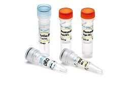 Reagent kit "Rapeseed RF1 identification"