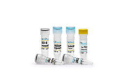 Reagent kit "Gallus gallus / Meleagris gallopavo Ident RT multiplex"for detection and differentiation of DNA chicken (Gallus gallus) and turkey (Meleagris gallopa-vo)