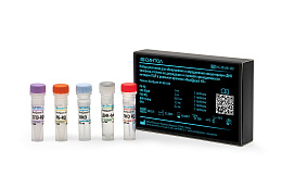 Reagent kit for detection of and determination of concentration DNA human, degree of its degradation and sex determination by real-time PCR «RealQuant H3», model «RealQuant H3 AB-100»
