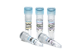 Reagent kit "Pepino mosaic virus-RT"