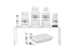 Reagent kit "real-time RT-PCR-SARS-CoV-2"for detection of RNA coronavirus SARS-CoV-2 by real-time polymerase chain reaction, configuration: presentation 2