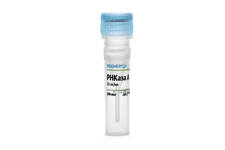 РНКаза А