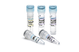 "Felis catus / Canis lupus Ident RT" reagent kit for detection and differentiation of carnivore DNA (cat, Felis catus; dog, Canis lupus)