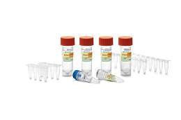 "Amplitub-FQ-RT" reagent kit for detection of DNA markers of Mycobacterium tuberculosis complex associated with fluoroquinolone resistance by real-time PCR
