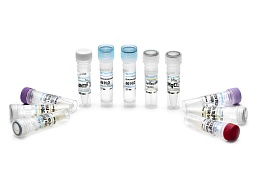 "PCR Mix" 2.5× reaction mixture for real-time PCR