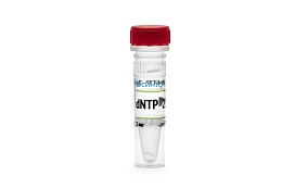 Mix dNTP