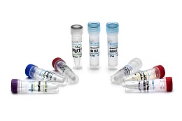 "PCR Kit" reagent kit for real-time PCR, with all required reagents supplied separately