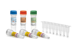 Reagent kit "OM-Screen-legionellez-RT"for detection of DNA Legionella spp. and Legionella pneumo-phila