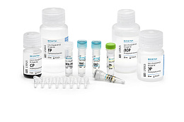 Reagent kit «CoV-2-FluA/B-RT-PCR» for detection of RNA coronavirus SARS-CoV-2, viruses influenza A (Influenza A virus) and influenza B (Influenza B virus) by real-time PCR, presentation 1
