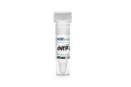 Deoxynucleoside triphosphates