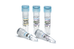 Reagent kit "Tomato ringspot virus-RT"for detection of RNA virus ring spot tomato
