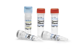 "Diaporthe vaccinii-RT" reagent kit for detection of DNA of the causative agent of viscid rot of blueberry