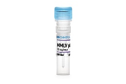 MMLV-ревертаза
