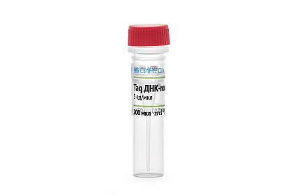 Thermus aquaticus ДНК-полимераза