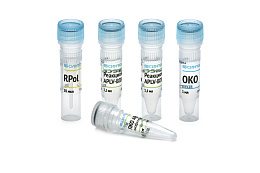 Reagent kit "Andean potato latent virus-RT"