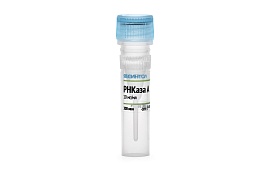 РНКаза А