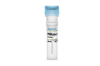 РНКаза А