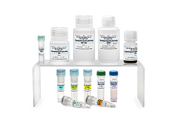 Reagent kit "real-time RT-PCR-SARS-CoV-2"for detection of RNA coronavirus SARS-CoV-2 by real-time polymerase chain reaction, configuration: presentation 1