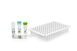 Reagent kit «CoV-2-FluA/B-RT-PCR» for detection of RNA coronavirus SARS-CoV-2, viruses influenza A (Influenza A virus) and influenza B (Influenza B virus) by real-time PCR, presentation 2