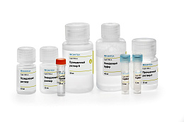 "Sorb-GMO-A" reagent kit for DNA isolation from plant material, food products, food raw materials of plant and animal origin, animal feed, and seeds