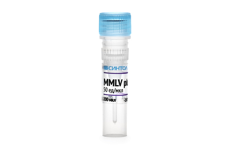 MMLV-ревертаза
