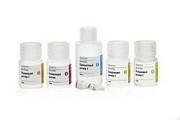 Reagent kit "DNA-Extran-3"for isolation of DNA from tissues plants