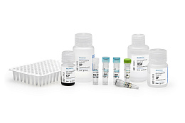 Reagent kit «CoV-2-FluA/B-RT-PCR» for detection of RNA coronavirus SARS-CoV-2, viruses influenza A (Influenza A virus) and influenza B (Influenza B virus) by real-time PCR, presentation 1