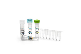 Reagent kit «CoV-2-FluA/B-RT-PCR» for detection of RNA coronavirus SARS-CoV-2, viruses influenza A (Influenza A virus) and influenza B (Influenza B virus) by real-time PCR, presentation 2