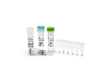 Набор реагентов «CoV-2-FluA/B-RT-PCR» для выявления РНК коронавируса SARS-CoV-2, вирусов гриппа A (Influenza A virus) и гриппа B (Influenza B virus) методом ПЦР в реальном…