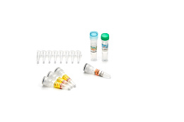 "OM-Screen-Plague-RT" reagent kit for detection of Yersinia pestis DNA and preliminary assessment of strain virulence